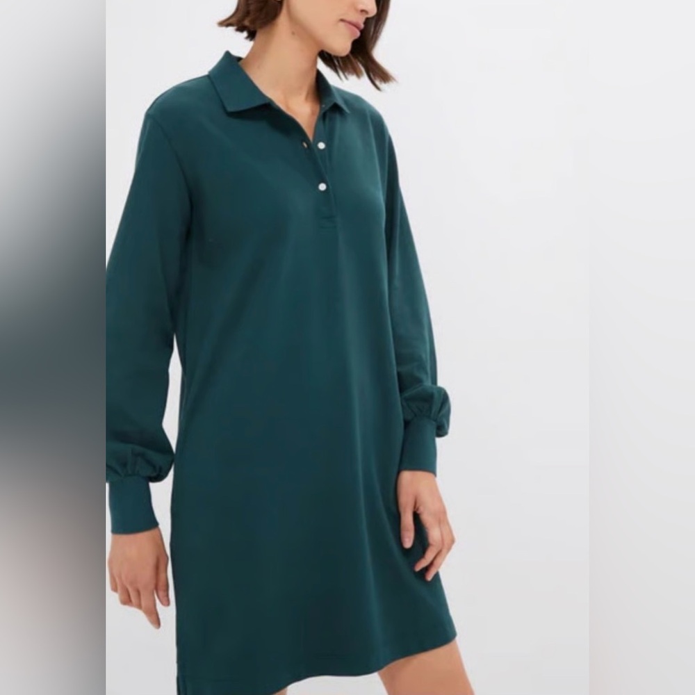 Tuckernuck June Bug Pique Frances Polo Dress - Picture 3 of 7